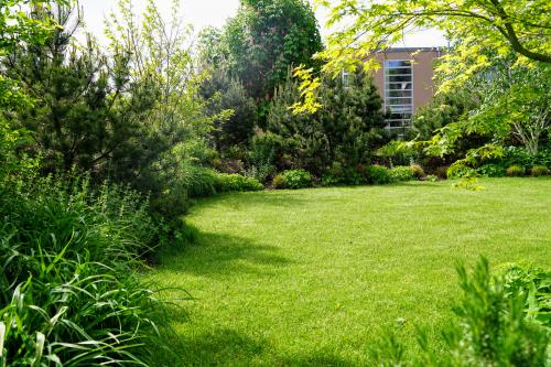 Jardin avec pelouse et massif de plantation fraîchement entretenu