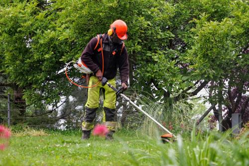 Jardinier qui entretien une pelouse avec un engin électrique