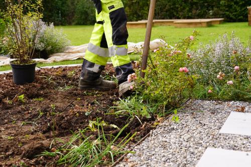 evertis_conseil_expertise_entretien_jardin 