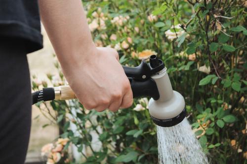 evertis_arrosage_jardin_economique_fleurs