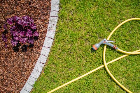 evertis_arrosage_jardin_economique