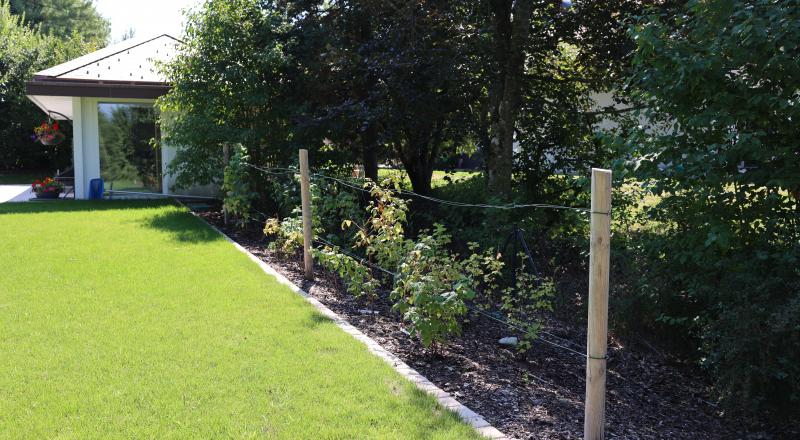 Jardin rénové