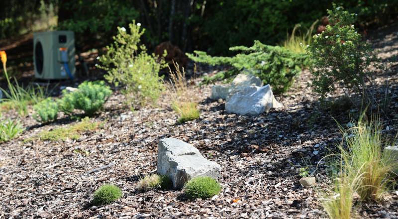 Jardin rénové