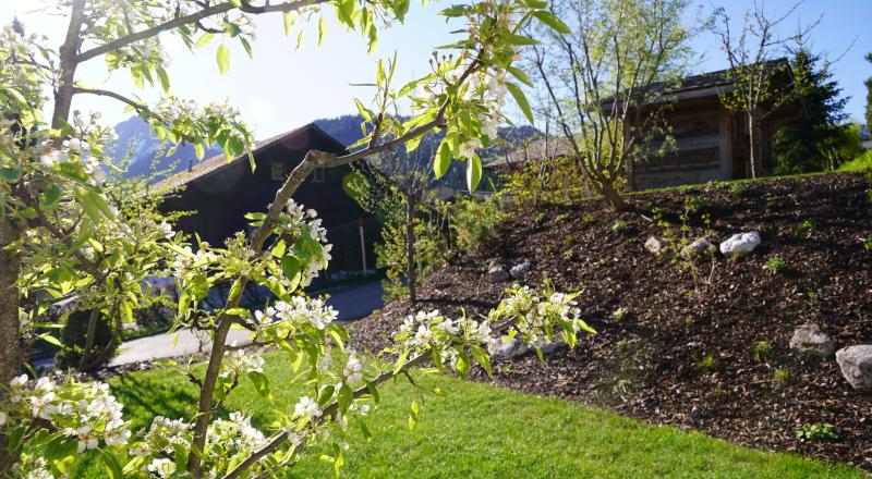 jardin privé