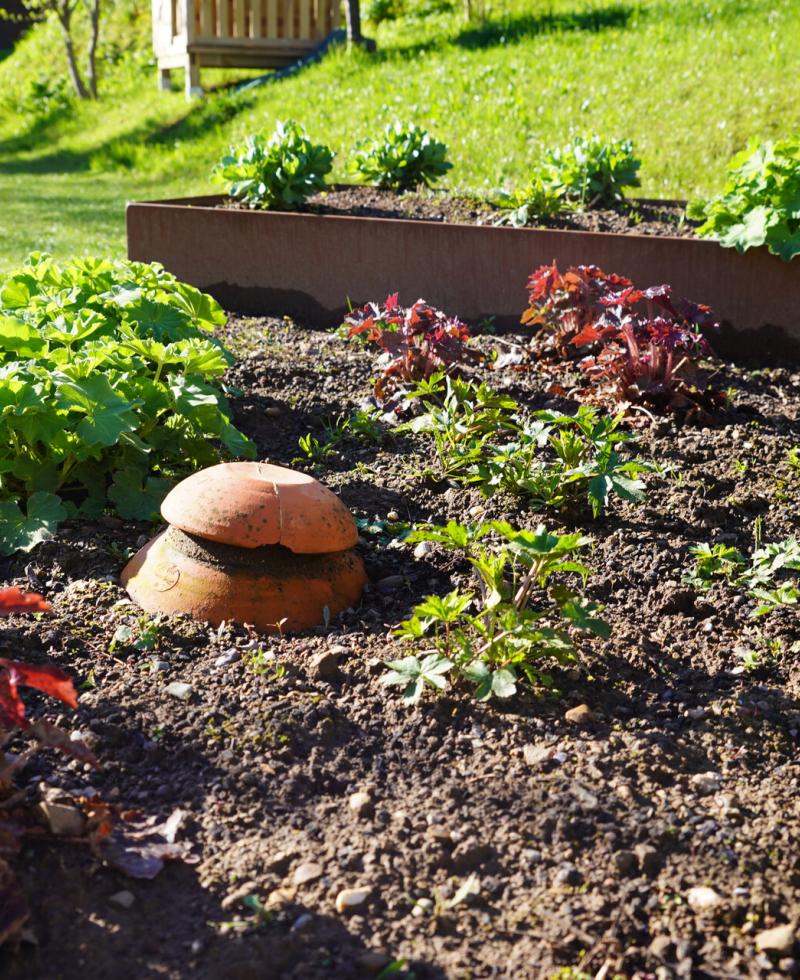 jardin privé
